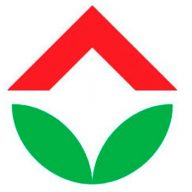 IBO Logo