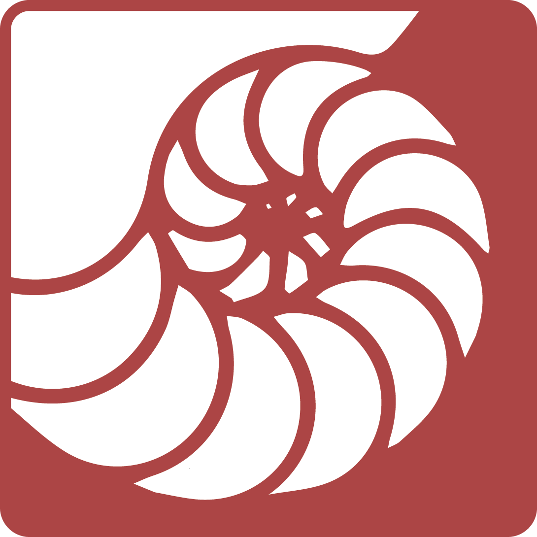 Baubiologie Magazin: Gesund Wohnen, Nachhaltig Bauen