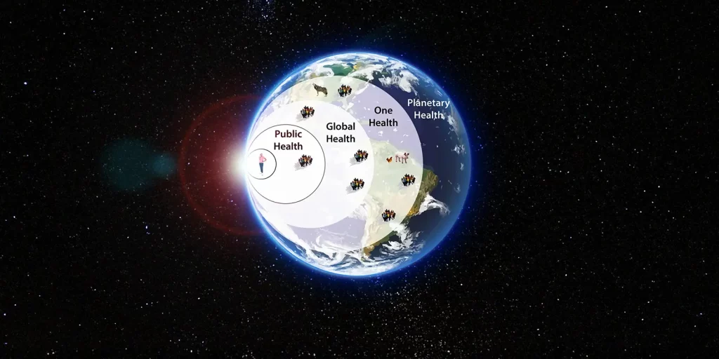 ibn-bm-Headerimage-Planetare-Gesundheit