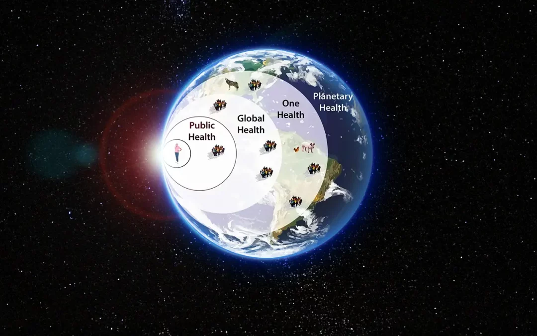 Planetare Gesundheit und Baubiologie